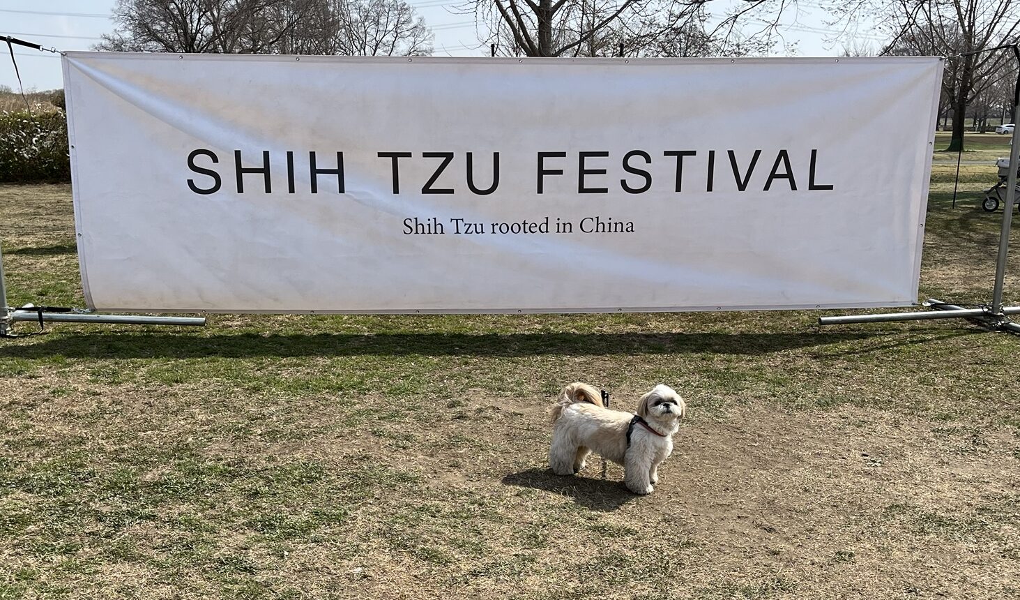 シーズーフェス垂れ幕前にいる柚