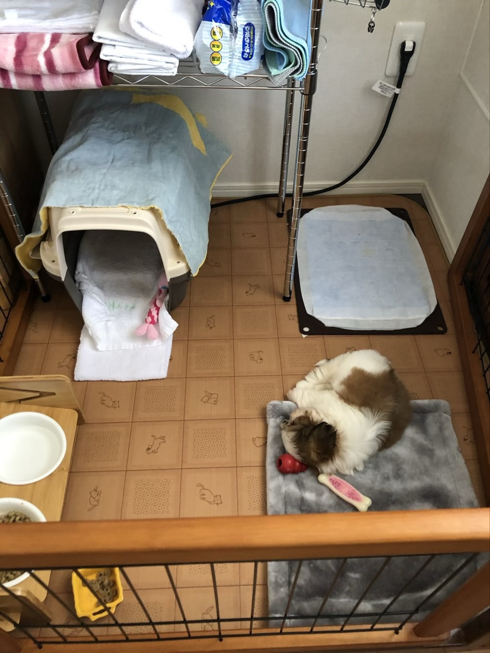 お部屋の中の柚