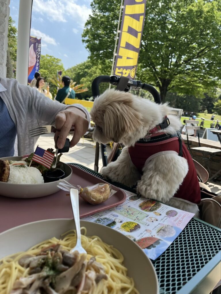 旦那のご飯にくぎ付け