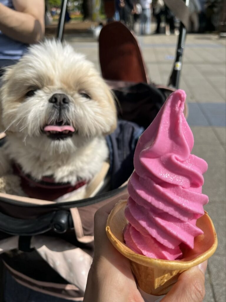 チューリップソフト