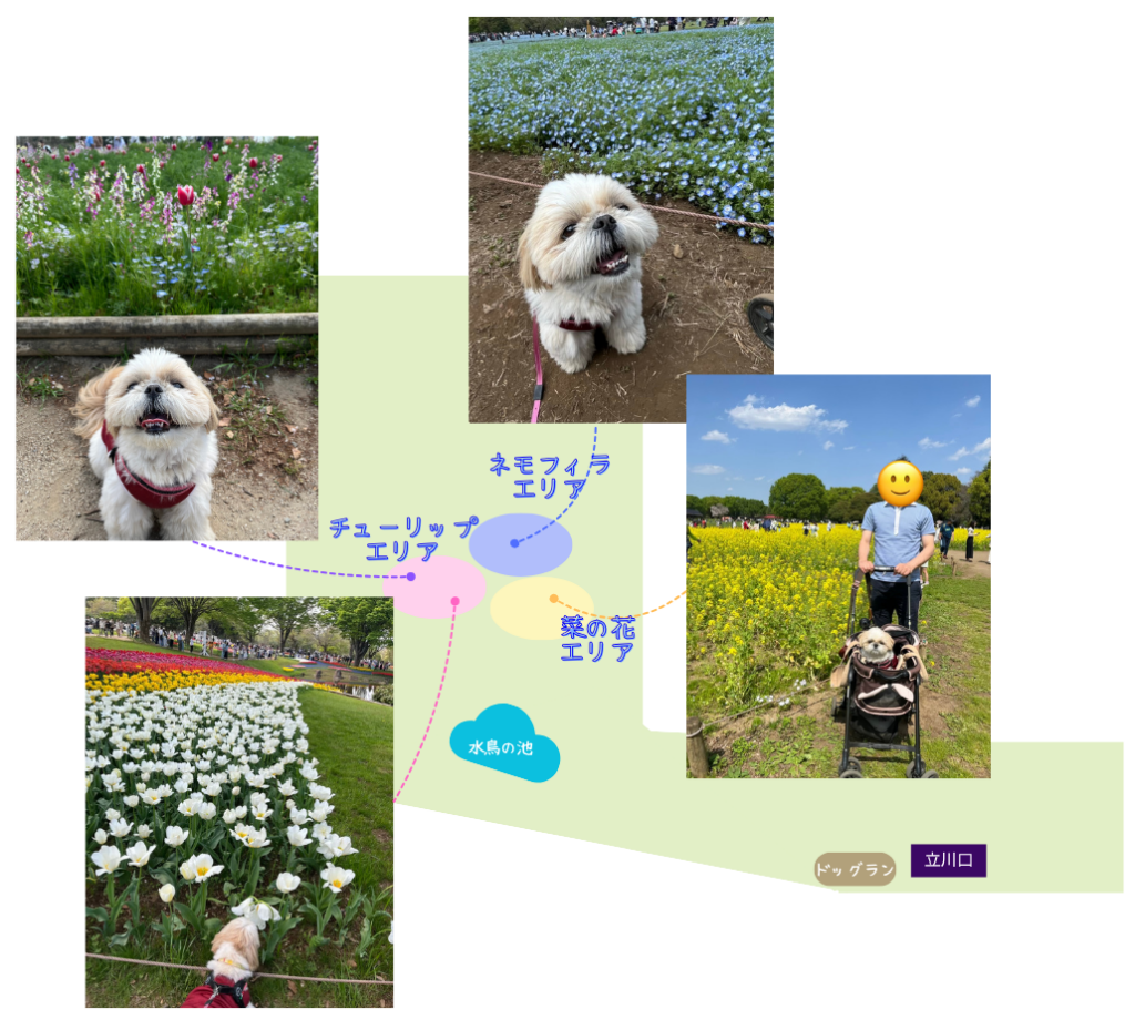 昭和記念公園地図